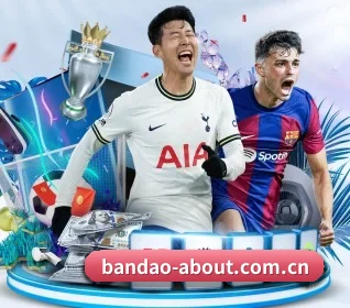 实时比分动态气泡,进球瞬间浮窗提醒 - 多运动项目内容板块