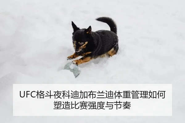 ge-dou-ye-ke-di-jia-bu-lan-di-ti-zhong-guan-li-ru-he-su-zao-bi-sai-qiang-du-yu-jie-zou-2-118.jpg